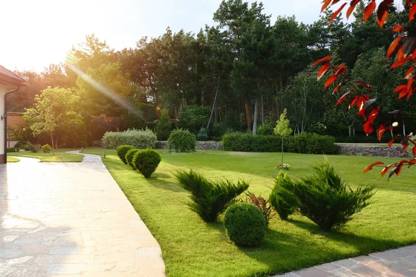 Живописный пейзаж с красивым зеленым садом рядом с домом в солнечный день — стоковое фото