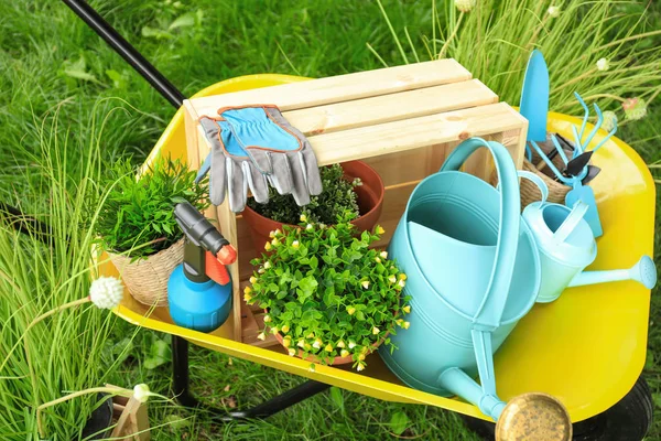 Compositie met tuingereedschap op groen gras — Stockfoto