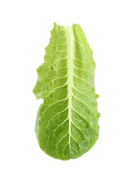 Frisches Salatblatt auf weißem Hintergrund — Stockfoto