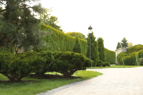 Malerische Landschaft mit Ziegelpfad an sonnigen Tagen. Gartenidee — Stockfoto