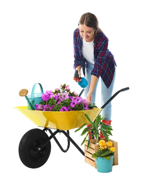 Vrouwelijke tuinman met kruiwagen en planten op witte achtergrond — Stockfoto