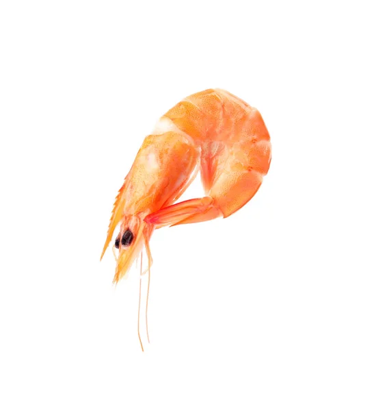 Delicious cooked whole shrimp on white background — Stock Photo, Image