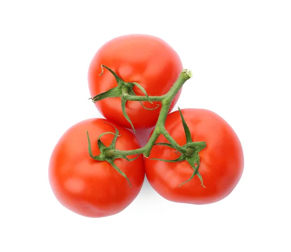 Zweig reifer roter Tomaten auf weißem Hintergrund, Draufsicht — Stockfoto