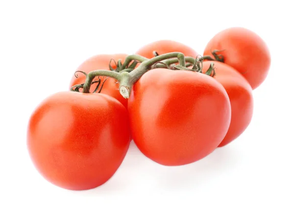 Branch of ripe red tomatoes on white background — Stock Photo, Image