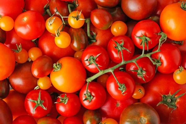 Veel verse rijpe rode en gele tomaten als achtergrond, bovenaanzicht — Stockfoto