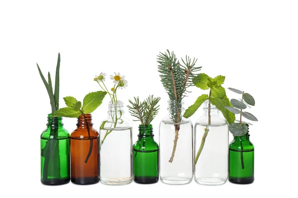 Skleněné láhve různých esenciových olejů s rostlinami na bílém pozadí — Stock fotografie