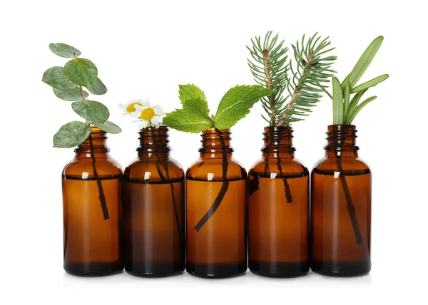 Glass bottles of different essential oils with plants on white background — Stock Photo, Image