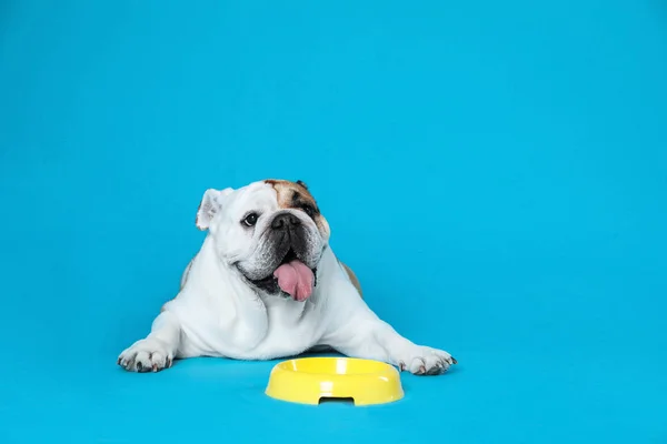 Adorable funny English bulldog with feeding bowl on light blue background, space for text