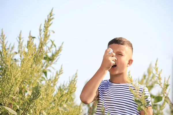 Açık havada ragweed alerjisi muzdarip inhaler ile küçük çocuk