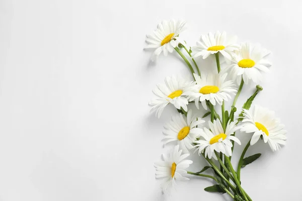 Ramillete de hermosas flores de manzanilla sobre fondo blanco, vista superior — Foto de Stock