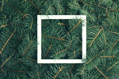 Arka plan olarak Noel ağacı dallarının kapatılması, üst görünüm