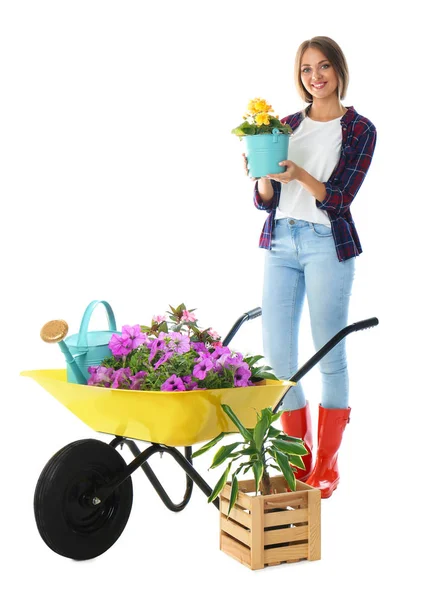 Vrouwelijke tuinman met kruiwagen en planten op witte achtergrond — Stockfoto