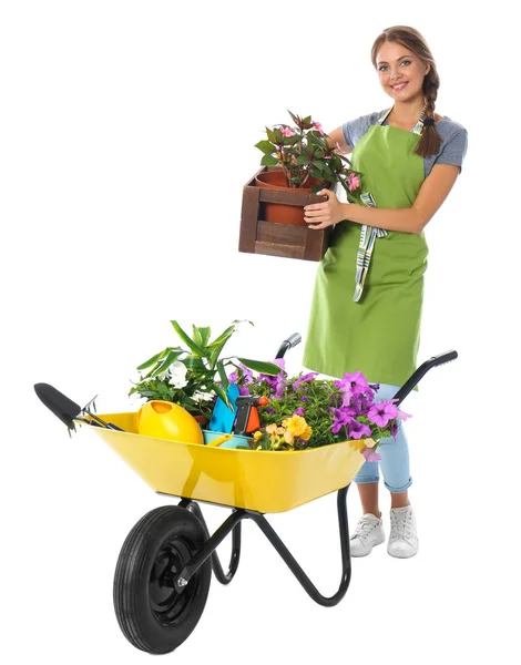 Giardiniere femminile con carriola e piante su sfondo bianco — Foto Stock