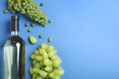 Taze olgun sulu üzüm ve mavi arka plan üzerinde şarap şişesi, düz yatıyordu. Metin için alan