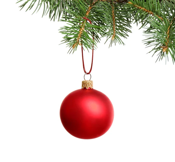 Boule de Noël rouge suspendue à une branche de sapin sur fond blanc — Photo