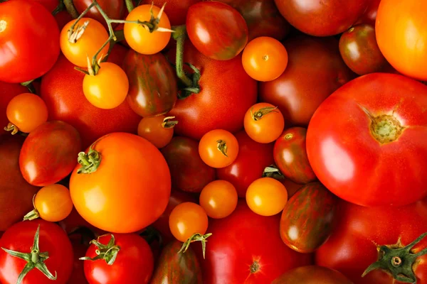 背景として多くの新鮮な熟した赤と黄色のトマト、トップビュー — ストック写真