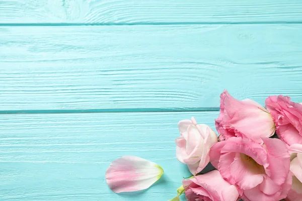 Composição de leigos planos com belas flores Eustoma na mesa de madeira azul clara, espaço para texto — Fotografia de Stock