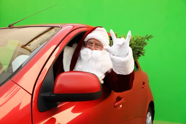 Autêntico Papai Noel com abeto dirigindo carro contra fundo verde — Fotografia de Stock