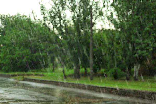 Vue de fortes pluies battantes dans un parc verdoyant — Photo