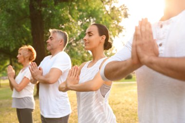 İnsanlar sabah parkta yoga yapıyor.