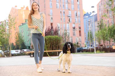 Kadın İngilizce Springer Spaniel köpek açık havada yürüyüş