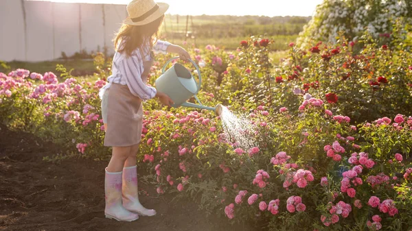 Frau gießt Rosensträucher im Freien. Gartenwerkzeug — Stockfoto