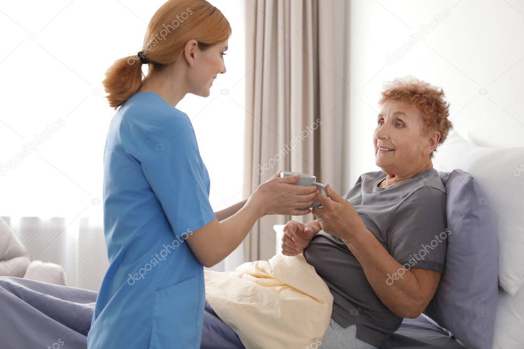 Nurse giving cup of tea to elderly woman indoors. Medical assistance