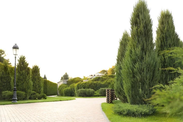 Pintoresco paisaje con camino de ladrillo en un día soleado. Idea de jardinería —  Fotos de Stock