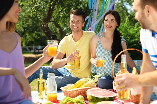 Jóvenes disfrutando de un picnic en el parque el día de verano —  Fotos de Stock