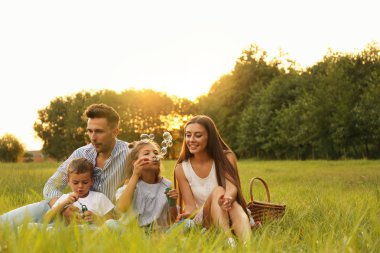Mutlu aile gün batımında parkta sabun kabarcıkları üfleme. Yaz pikniği