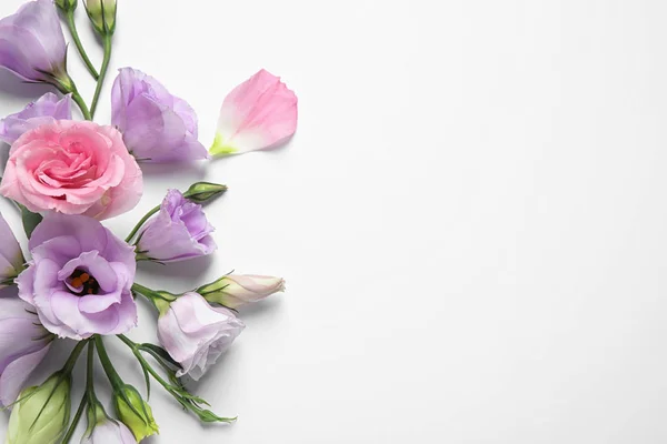 Beyaz arka planda güzel Eustoma çiçekleri, üst manzara. Metin için boşluk — Stok fotoğraf
