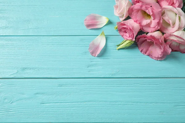 Ploché složení s nádherými květy Eustoma na světle modrém dřevěném stole, prostor pro text — Stock fotografie