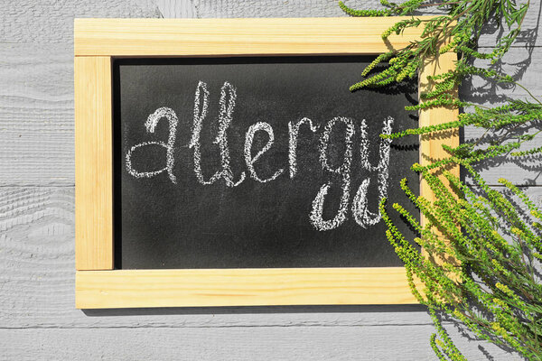 Ragweed plant (Ambrosia genus) and chalkboard with word "ALLERGY" on light wooden background, flat lay