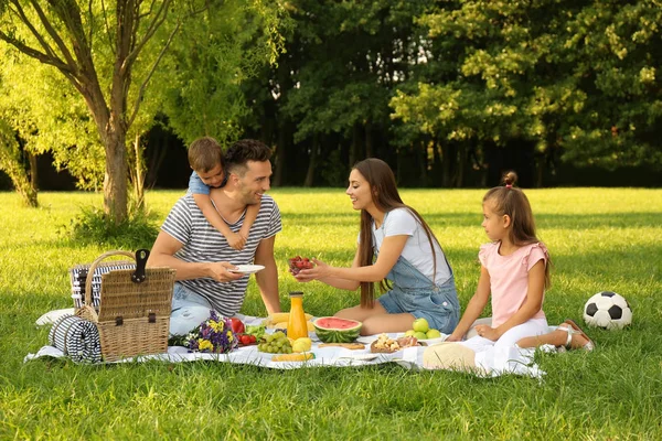 Boldog család piknik a parkban a napsütéses nyári napon — Stock Fotó