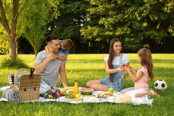 Boldog család piknik a parkban a napsütéses nyári napon — Stock Fotó