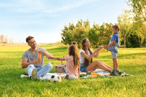 Lycklig familj som har picknick i parken på solig sommardag — Stockfoto