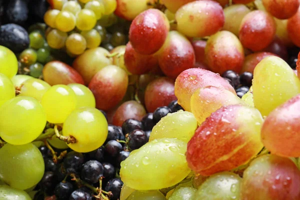 Fresh ripe juicy grapes with water drops as background, closeup — Stock Photo, Image