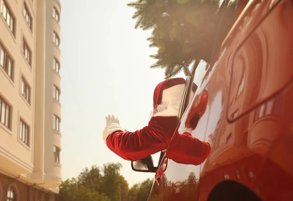 Auténtico Santa Claus con abeto conduciendo coche moderno, vista trasera —  Fotos de Stock