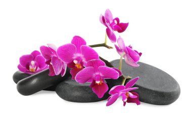 Beyaz arka planda spa taşları ile Orkide