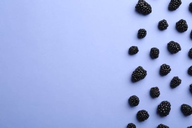 Leylak arka plan taze olgun böğürtlen, düz yatıyordu. Metin için alan