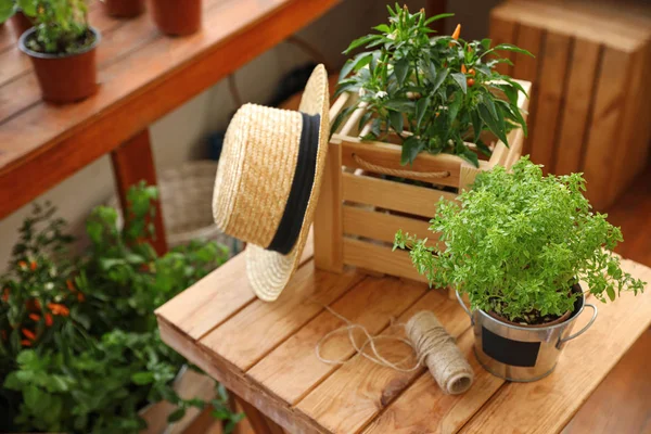 屋内の木製テーブルに苗、木箱、わら帽子、ロープ。ガーデニングツール — ストック写真