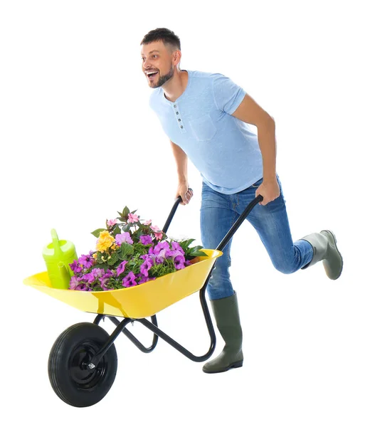 Jardinero masculino con carretilla y plantas sobre fondo blanco — Foto de Stock