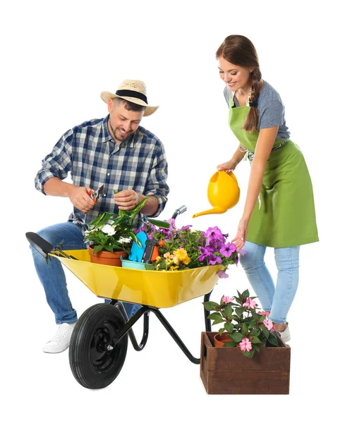 Pareja de jardineros con carretilla y plantas sobre fondo blanco —  Fotos de Stock