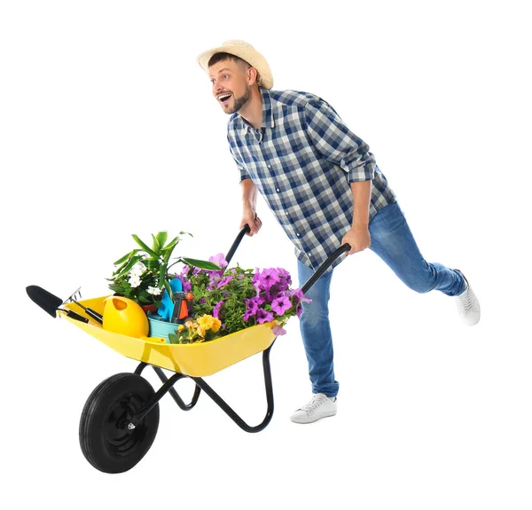 Jardineiro masculino com carrinho de mão e plantas em fundo branco — Fotografia de Stock