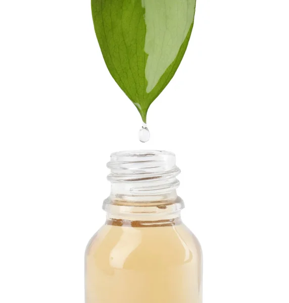 Ефірна олія падає з зеленого листа в скляну пляшку на білому тлі, крупним планом — стокове фото