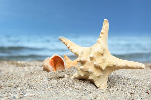Beautiful starfish and shells on sand near sea. Beach objects — Stock Photo, Image