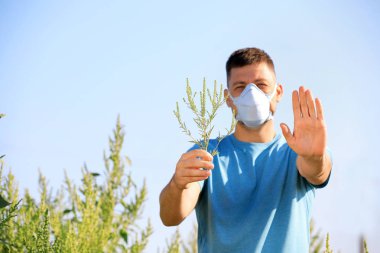 Ragweed dalı açık havada alerji muzdarip adam, ellere odaklanmak