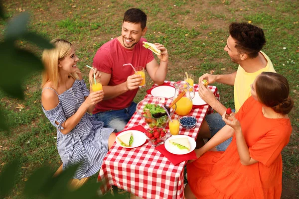 Groep mensen die picknicken aan tafel in Park op zomerdag — Stockfoto
