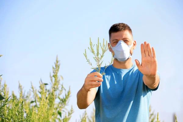 Homem com galho ragweed sofrendo de alergia ao ar livre, foco em mãos — Fotografia de Stock