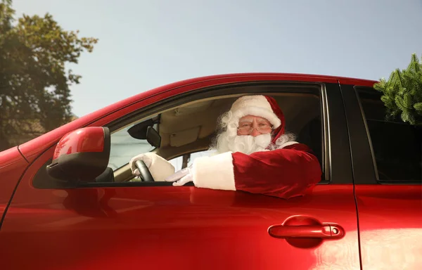 Autentico Babbo Natale con abete guida auto moderna, all'aperto — Foto Stock